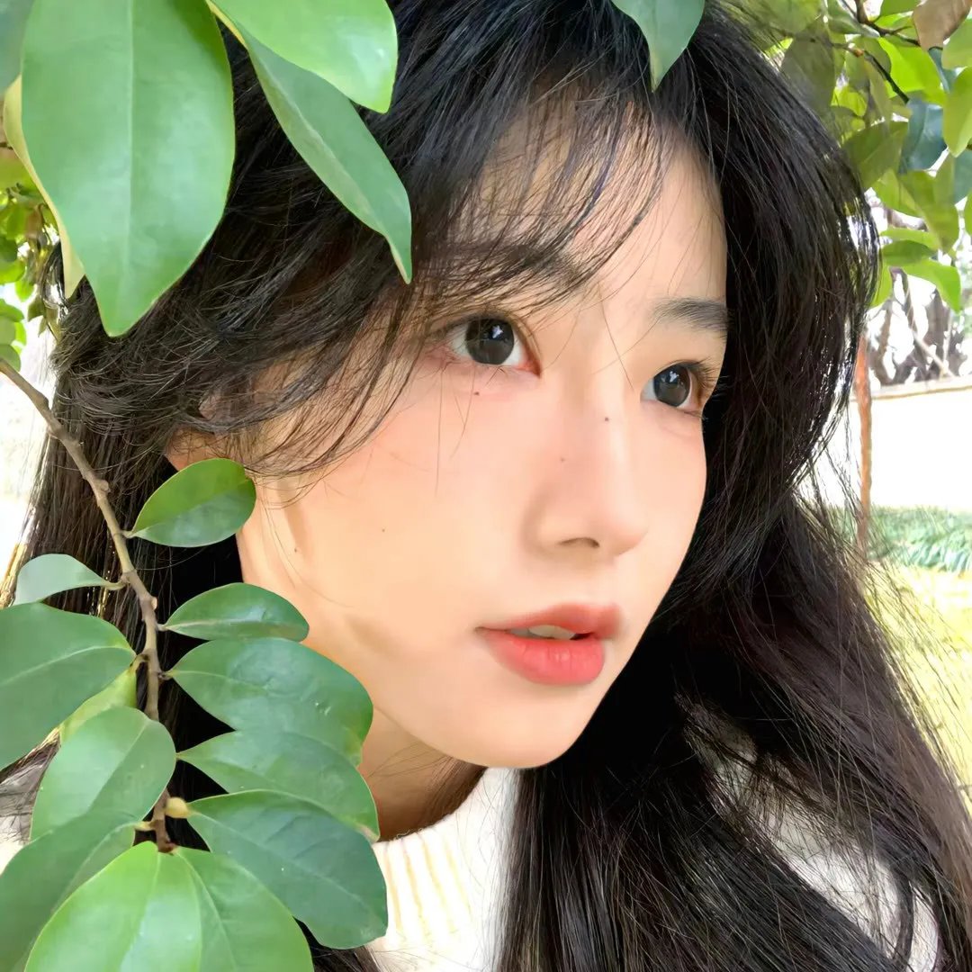 真假千金之偏宠